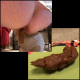 You can try to cover your eyes and hold your nose as Dave returns to his "Brown Bomber" days with a 14-minute video featuring some large and diverse ladies pooping onto plates! Two pooping scenes. 154MB, MP4 file.